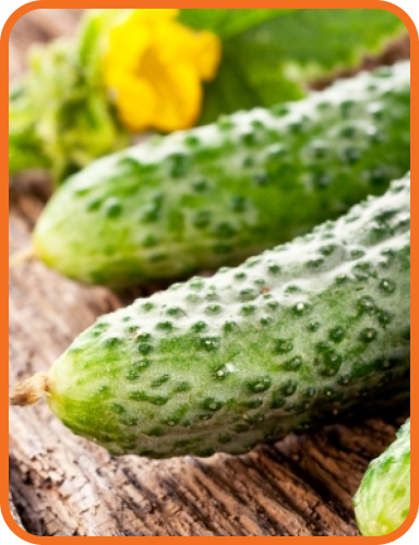 зелені огірки